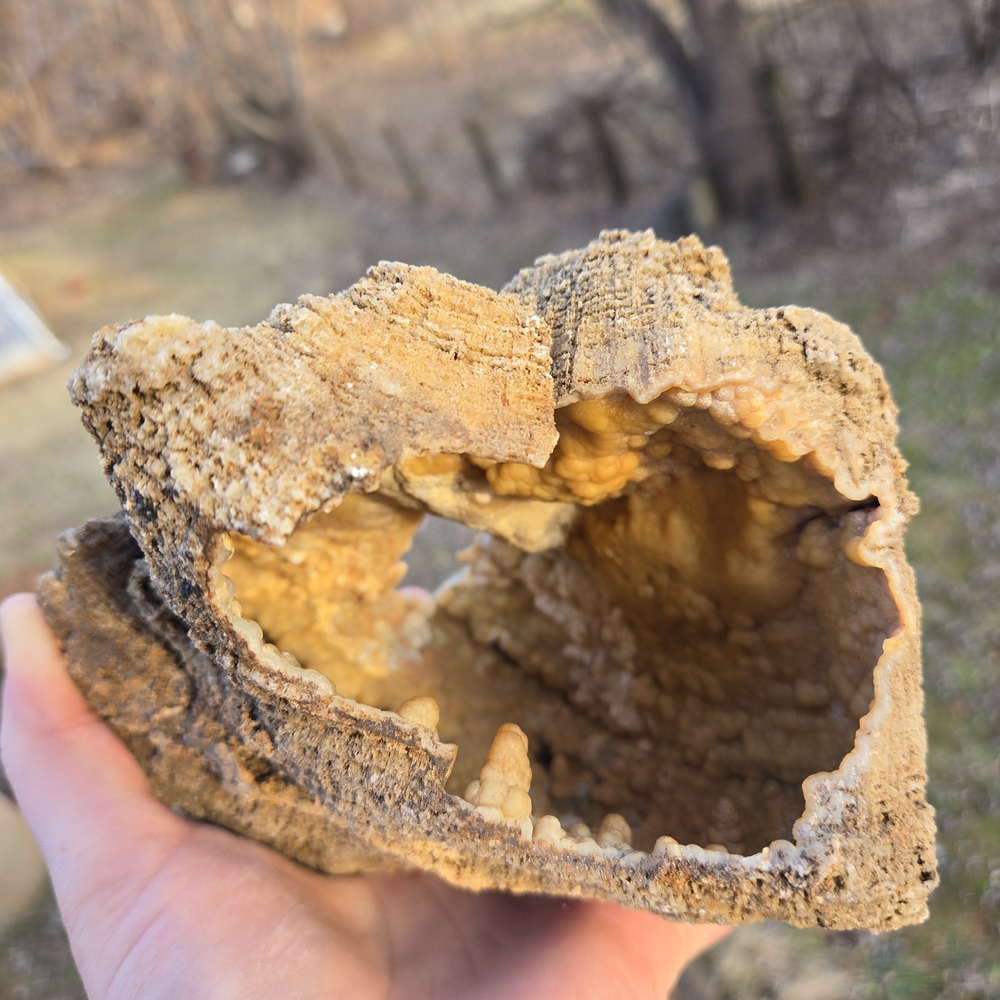 AGATIZED Fossil Coral Geode Display Specimen - Bubbly Botryoidal Formations